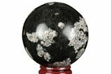 Polished Snowflake Stone Sphere - Pakistan #187577-1